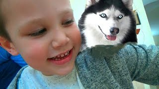 УГАДАЙ БЛОГЕРА ПО ПИТОМЦУ Челлендж/ Мистер Макс и Мисс Кэти / Данька ТВ и Литл мисс София/ для детей