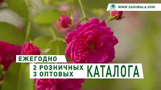 Каталог "Весна 2020". Питомник "Сады Урала"