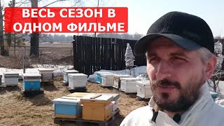 МОЁ НЕПРОМЫШЛЕННОЕ ПЧЕЛОВОДСТВО 2019
