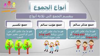 أنواع الجموع - أ / محمد آيات الله