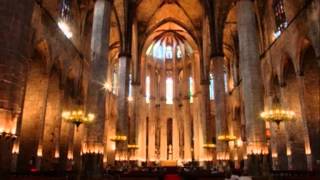 Mac McClure plays Bach Busoni "Nun komm der heiden Heiland"