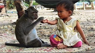 Strong Relationship Kid & Monkey/ Lovely friends Animals with humans Youlike Monkey 1302
