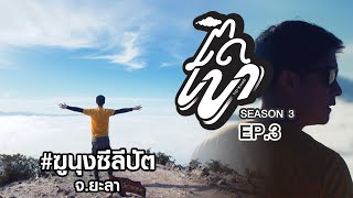 ติดเขา 3 ตอน 3 ชมทะเลหมอก ฆูนุงซีลีปัต อัยเยอร์เวง ป่าฮาลาบาลา น้ำตกเฉลิมพระเกียรติ ร.9 เบตง จ.ยะลา