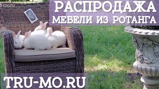 Распродажа мебели из искусственного ротанга