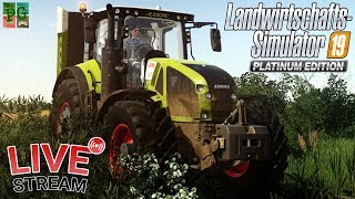 JAGT NACH PLATIN ? THE OLD STREAM FARM │LS19 - FS19 LIVE?[HD] Landwirtschafts Simulator 19
