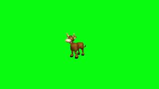 ♪ Футаж Корова на хромакей.(Footage Cow chroma key.)