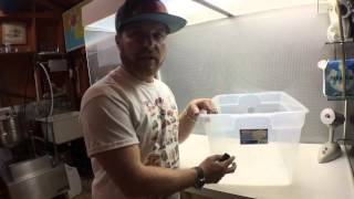 DIY How to make a mushroom monotub grow fresh fungi at home. Mycology at its finest! Magic of Fungi!