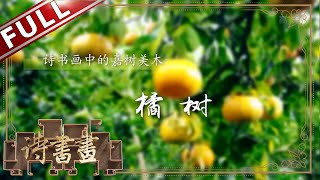 《诗书画》橘树 江南有丹橘 经冬犹绿林 || 20191212【东方卫视官方高清HD】