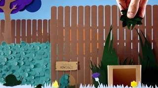 How to make a hedgehog friendly garden