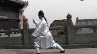 Tai Chi Chuan - ZhangSanfeng Taiji Quan Wudang Kungfu 武当太极