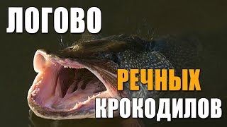ЛОГОВО речных КРОКОДИЛОВ! Как ловить щуку весной на спиннинг. Рыбалка 2017
