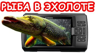 РЫБА НА ЭХОЛОТЕ  ЧТО ВИДИТ ЭХОЛОТ  ВСЯ ПРАВДА ОБ ЭХОЛОТАХ
