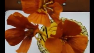 How to make Paper Flowers Nasturtium / Tropaeolum (Flower # 23)