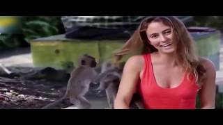 Monkeys Attack The Beautiful Girls Funny Compilation  Funny Vines Fails Compilation