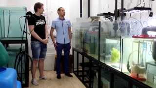 Аквариумный туризм №12 (Один день с компанией AquaZar, морской аквариум на 7тонн)