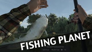 Fishing Planet [Как поймать сома]