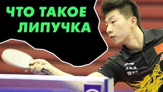 Что такое липучка? Накладки для настольного тенниса и их типы: липучка