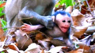 FIRST TIME IN HANDS KIDNAPPER ! Extremely cry loudly Sami call mom | Tazana catch bad-Sami scare.