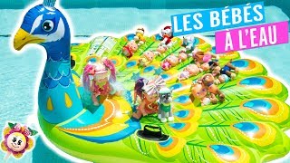 ? Mes bébés adoptent la PAT PATROUILLE ? et organisent une fête dans la piscine ? Fête de chiots!