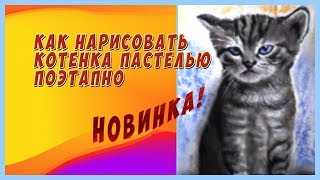 Как нарисовать кота поэтапно/Учимся рисовать пастелью котенка