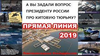 NHR ▶  ПРЯМАЯ ЛИНИЯ С ПРЕЗИДЕНТОМ РФ 2019