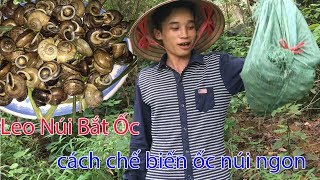 Thử thách leo núi bắt ốc | cách chế biến ốc núi Rock climbing | PNP Vlogs