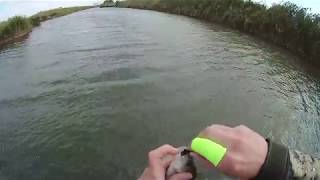 Ловля нахлыстом окуней | Perch Fly Fishing