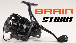 Обзор фидерной катушки Brain Storm