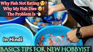 Galiff Street Kolkata Why Fish Not Eating ? Live Feeding Is Good ? Know The Basics My Secret Tips