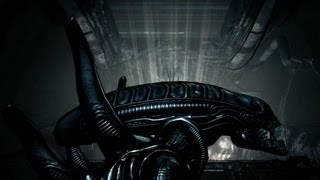2 Aliens 1 Canadian (AvP)
