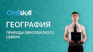 География 9 класс: Природа Европейского севера