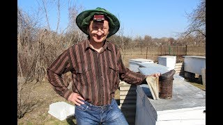 Весенняя ревизия пчел | Мечение маток | Объединение семей