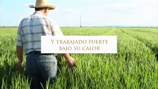 Día del Agricultor 2017