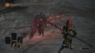 Dark Souls 3 Ornstein v.s. DLC Boss [06]: Slave Knight Gael