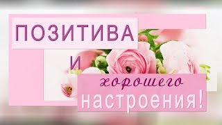 ?Доброго дня! ?Хорошего настроения!?Позитива! ?Анимационное пожелание 4К