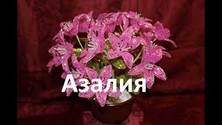 Мастер класс Азалия  Часть 1