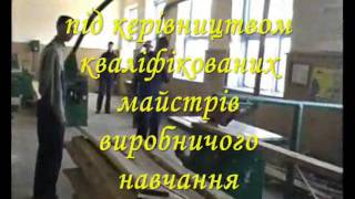 Дубровицький професійний ліцей
