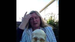 Head and Brain Injuries Treatment