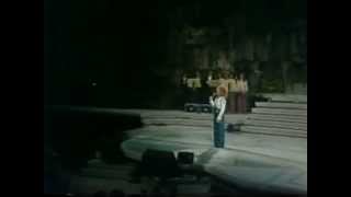 Festival de Viña 1982, Vicky Carr, Disculpame - Total