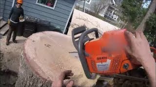Tight Spot - Tree removal