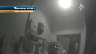Подмосковные проститутки предлагали своим клиентам интим услуги в рассрочку