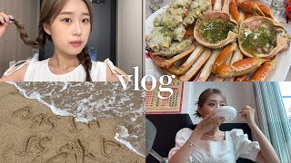 [VLOG] 요즘 뭐하고 지내냐구요..???? 나홀로 서울 나들이 | 10년지기 친구들과 속초여행 | 인생 첫 워터밤 | 소소한 먹방 브이로그 | 살은 쪘지만 행복해ㅎ..