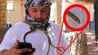 KAMPF MIT GEFÄHRLICHER SCHLANGE ! - ÄGYPTEN VLOG 2017 (Teil 2) | ALI