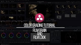Color Grading Tutorial: Film Grain and Using LUTs Davinci Resolve