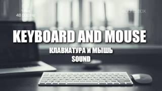 SOUNDS Keyboard and Mouse (ЗВУКИ КЛАВИАТУРЫ И МЫШИ) | Soundbox