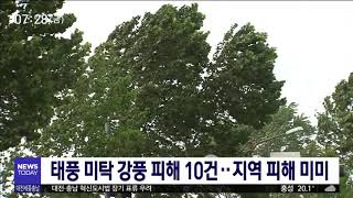 태풍 미탁 강풍 피해 10건..피해 미미/대전MBC