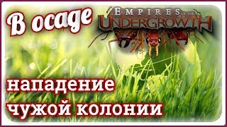Empires of the Undergrowth #2 2 Осада муравейника
