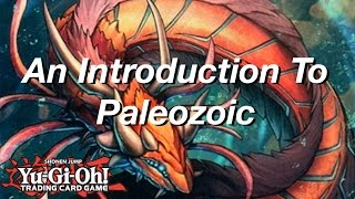 Yu-Gi-Oh! An Introduction to Paleozoic!