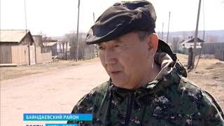 Программу по искусственному осеменению коров в ЛПХ реализуют в Баяндаевском районе