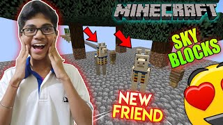 I Got My First Friend ? In Sky Blocks || *MINECRAFT*